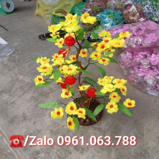 CÂY MAI GIẢ