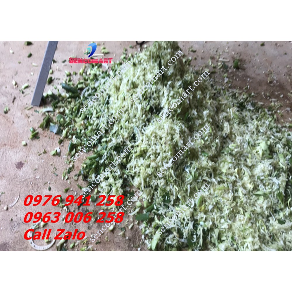 Thanh lý Máy Xay Bèo Tây, Rau Muống, Máy xay nhỏ chuối làm thức ăn cho vật nuôi Sencomart