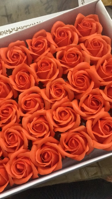 Hoa hồng sáp sỉ 1 hộp 50 đầu bông 3 lớp hàng loại 1
