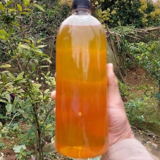 Mật ong rừng Tây bắc