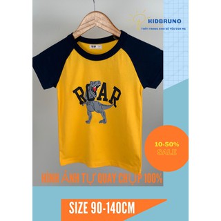 Ao phông trẻ em , cotton quân áo mùa hè cho bé yêu,kết hợp bộ đồ cho bé trai và bé gái xuất khẩu Âu Mỹ, Hàn Quốc in hình