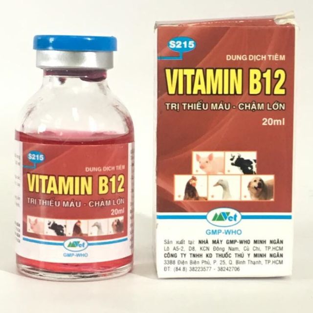 Vitamin B12 trị bệnh thiếu máu cho động vật, giải độc cho cây chai 20ml