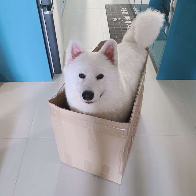 Úmbala Boutique, Cửa hàng trực tuyến | BigBuy360 - bigbuy360.vn