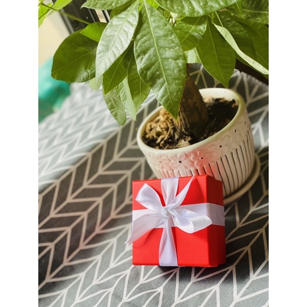 Đồng hồ nữ SUNLIGHT NGA - sale 70% - 262588