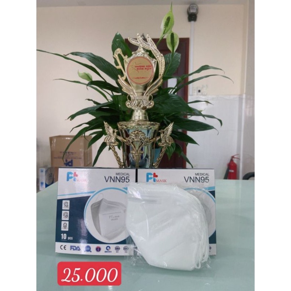 Hộp 10 khẩu trang y tế N95 | BigBuy360 - bigbuy360.vn