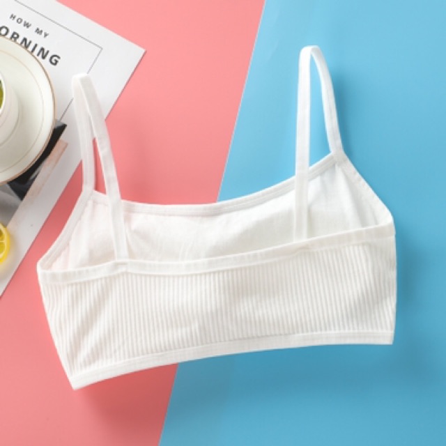 Áo bra học sinh cotton áo Lá Học Sinh Cotton Thỏ | BigBuy360 - bigbuy360.vn