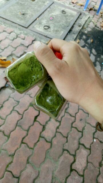 Sỉ bột Trà xanh rừng nguyên chất | BigBuy360 - bigbuy360.vn