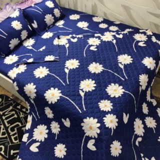 Chăn ga gối cotton poly