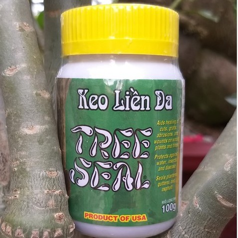 KEO LIỀN DA CÂY TREE SEAL, Keo Liền Sẹo Mỹ, keo liền da morrisons