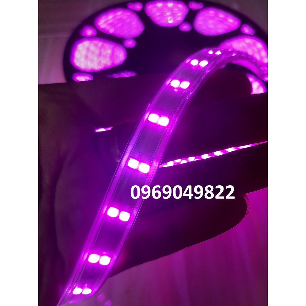 5 Met Đèn Led Dây Đôi Màu Hồng 2835 Trang Trí Hắt Trần, Quấn Cây - Led Dây Màu Hồng (mua 20m tặng bộ nguồn)