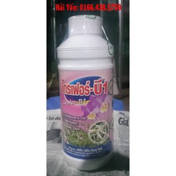 Phân bón lá kích rễ cao cấp Vitamin B1 Grofer Thái Lan Chai 1 lít