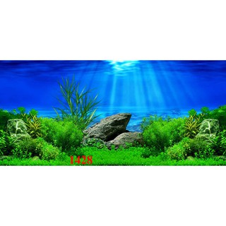 Tranh 3d dán hồ cá mẫu mã đa dạng có keo sẵn
