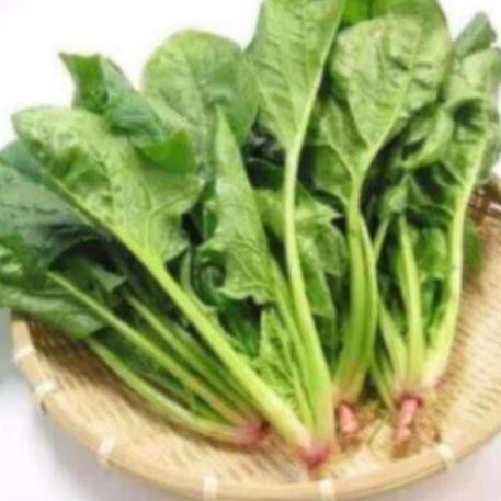 DEAL 1K [DEAL SHOCK 1K] 100 Hạt Giống Rau Cải Bó Xôi - Rau Chân Vịt [FREESHIP XTRA]