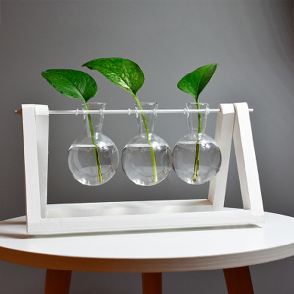 Chậu hoa thủy tinh thiết kế sáng tạo