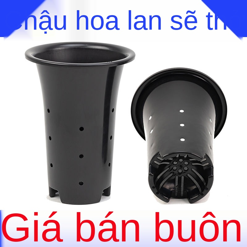 ✹Chậu lan đặc ruột dày và cao Chậu lan bán buôn chậu hoa clivia chậu lan chậu nhựa chậu lan