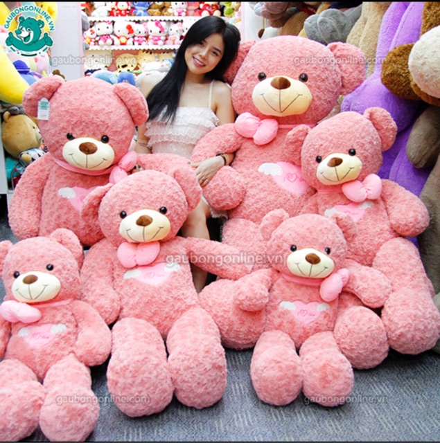 Gấu Bông Teddy Cao Cấp Angel hồng lông xoắn 80cm - 1m1 - 1m3 - 1m6. Quà tặng Đẹp và ý nghĩa.