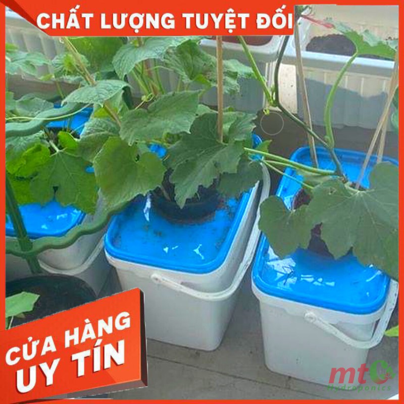 Thùng Thủy Canh Tĩnh Trồng Cây Ăn Quả