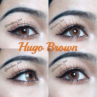 Lens Nâu Tây (1,25 ĐỘ)