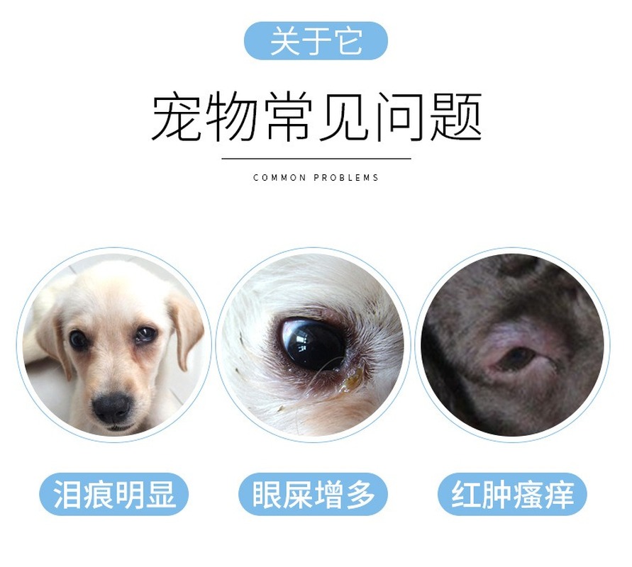 Khăn giấy ướt làm sạch mắt cho thú cưng