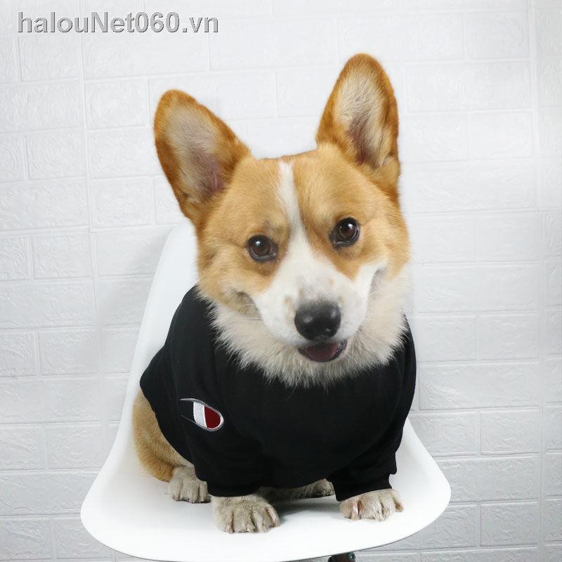 Áo Thun In Hình Chú Chó Corgi Dễ Thương Cho Thú Cưng