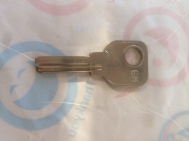 50 phôi chìa khoá chấm vi tính RM ( rảnh trái )