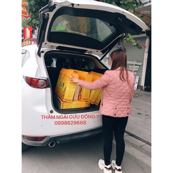 Thảm Ngải Cứu [Chính Hãng - Bảo Hành 6 Tháng] | BigBuy360 - bigbuy360.vn