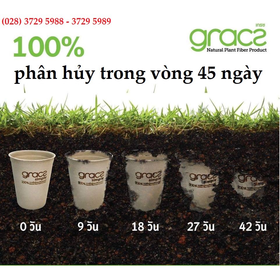 50 Chén bã mía Thái Lan 350ml - thương hiệu Gracz