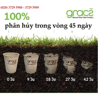 50 Chén bã mía Thái Lan 350ml - thương hiệu Gracz (màu trắng)