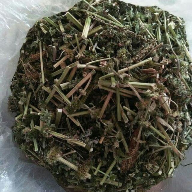 Lá cao ích mẫu 1kg