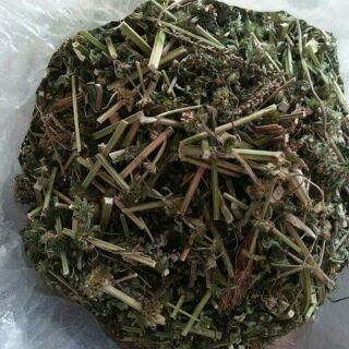 Lá cao ích mẫu 1kg