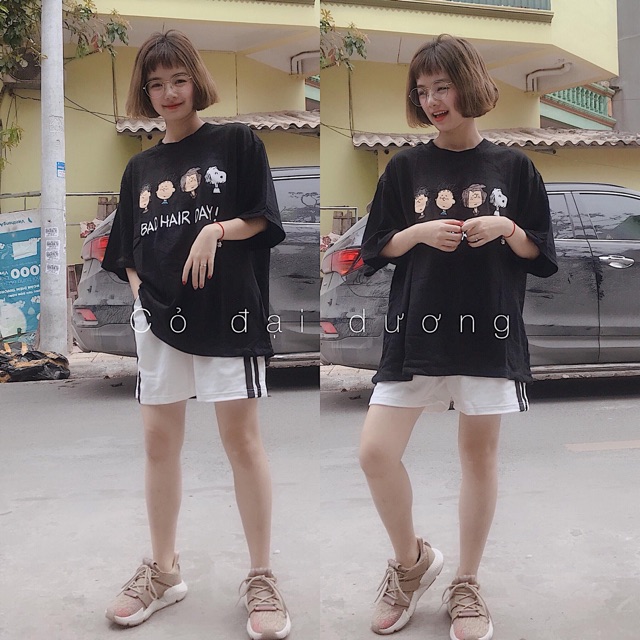Áo pull
