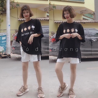 Áo pull
