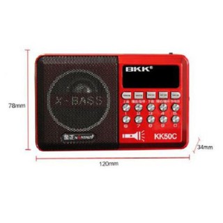 Loa nghe nhạc KangYi KK50C