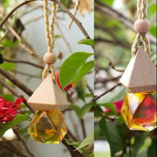 Bạn đi ô tô là phải treo tình dầu nha mùi hương đặc biệt sẽ làm cho ko gian xe của ban lôi cuốn mát mẻ an toàn hơn đấy a