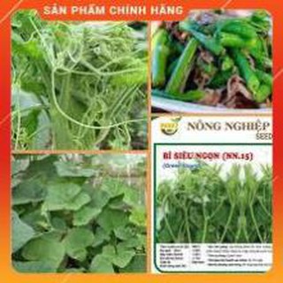 HẠT GIỐNG BÍ SIÊU NGỌN THÂN MẬP GÓI 20 GRAM