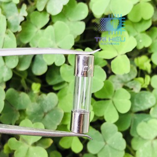 [Gói 5con] Cầu Chì Ống 5x20mm 250V