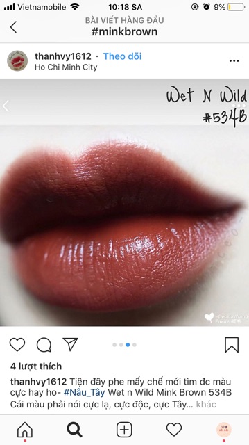 SON THỎI BÓNG WET N WILD SILKFINISH màu MINK BROWN (khách chú ý thân son có thể hơi xước do mềm, shop ko đổi trả) | BigBuy360 - bigbuy360.vn