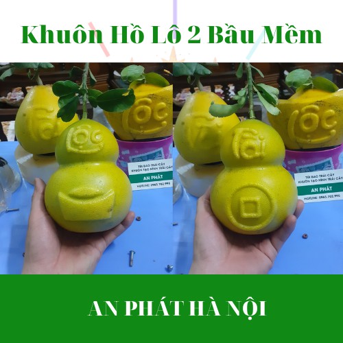 Combo 5 Khuôn tạo hình trái cây khuôn Hồ Lô 2 bầu loại mềm dùng tạo hình trái bưởi, đào tiên, dưa..., khuôn quất TÀI LỘC