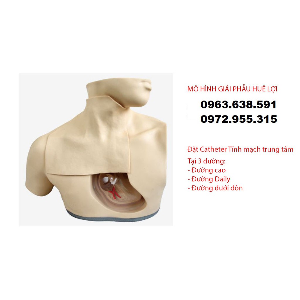 MÔ HÌNH ĐẶT CATHETER TĨNH MẠCH TRUNG TÂM