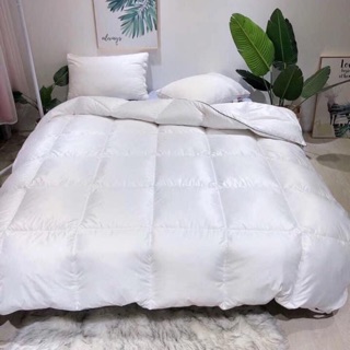 chăn Zara bông lông vũ Microfiber. Ruột chăn siêu nhẹ hàng nhập nguyên chiếc