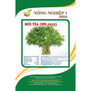 HẠT GIỐNG MÙI TÍA CAO SẢN
