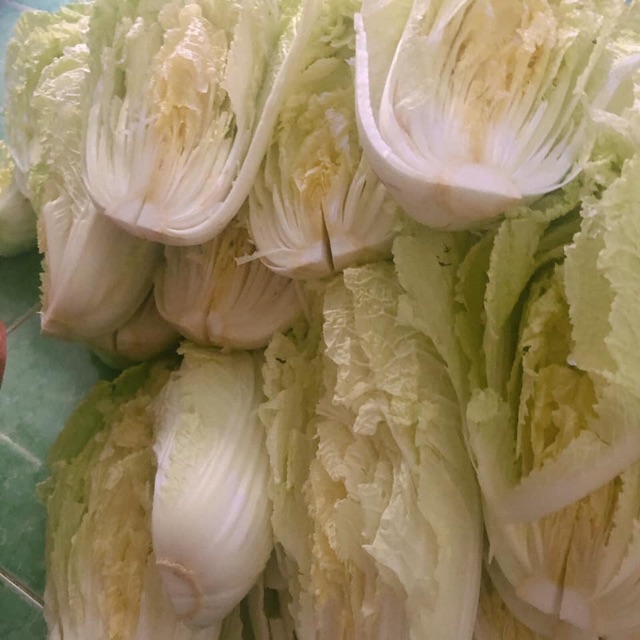 Kim chi cải thảo Hàn Quốc