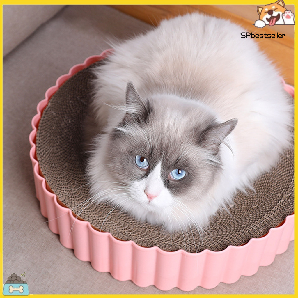 Thảm Tròn Tập Cào Móng Cho Mèo