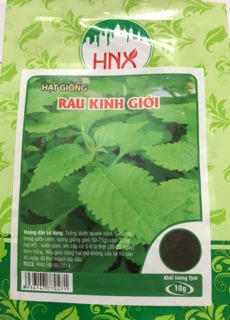 ✅ Hạt giống rau Kinh giới 🌱