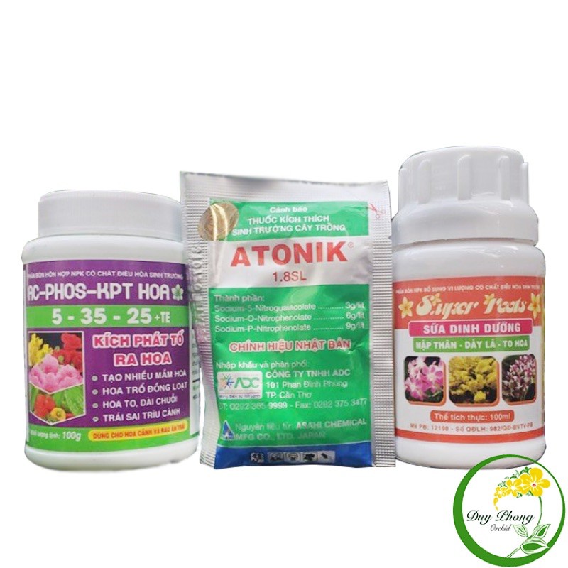 Kích hoa Dendro chơi tết 2023 - ATONIK 10ML,  5 - 35 - 25 + TE 100G, SUPER ROOTS 100ML
