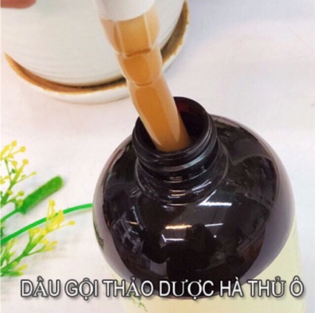 Dầu gội thảo dược Hà Thủ Ô 2 in 1(thảo dược Hà Thủ Ô,dầu Olive,dầu Macadamia,dầu Argan,tinh dầu bưởi và collagen)300g