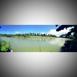 Thế giới xanh đồ rẻ