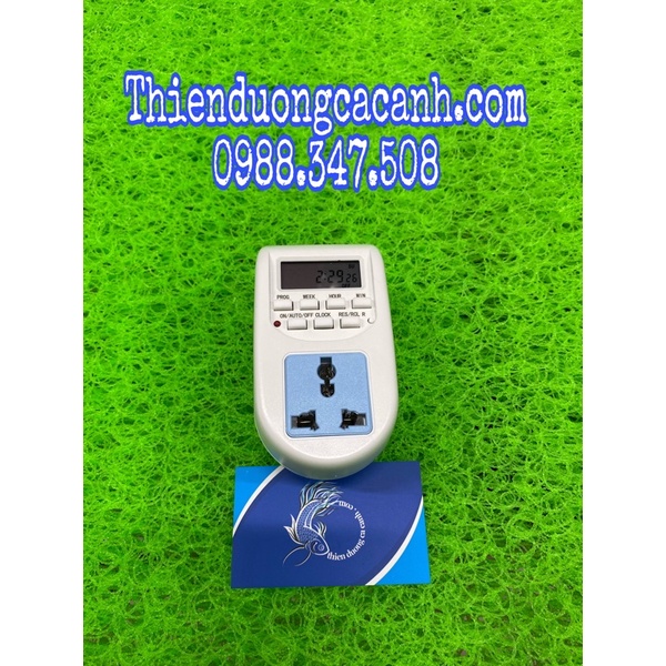 Đông Hồ Hẹn Giờ Điện Tử