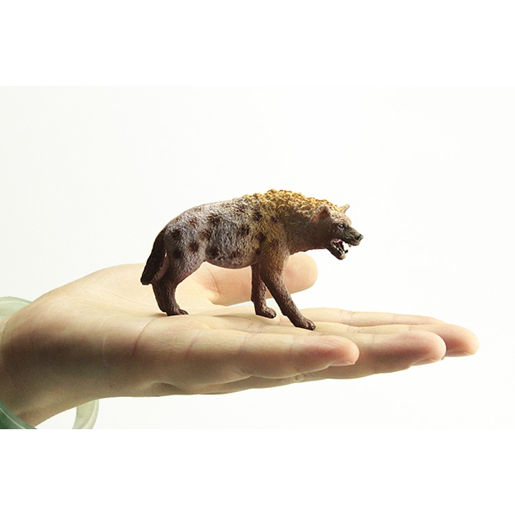 Boys and Girls Gifts Children's Simulation Zoo Model Toys Solid Animal World African Spotted Hyena Coyote Dog