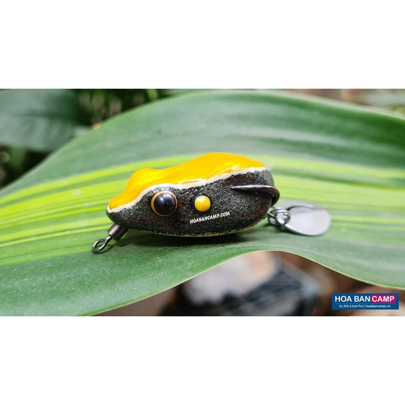 Mồi Nhái Hơi – Ếch Rừng | Forest Frog Thailand